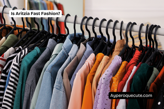 Is Aritzia Fast Fashion?