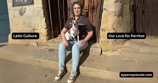 Latin Culture & Our Love for Perritos: A Match Made in Heaven